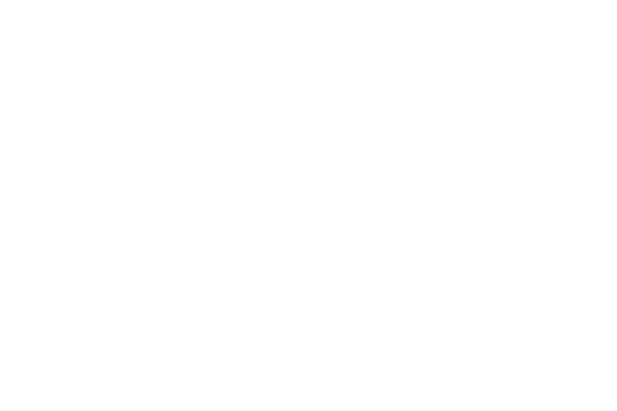 TX Switch Films